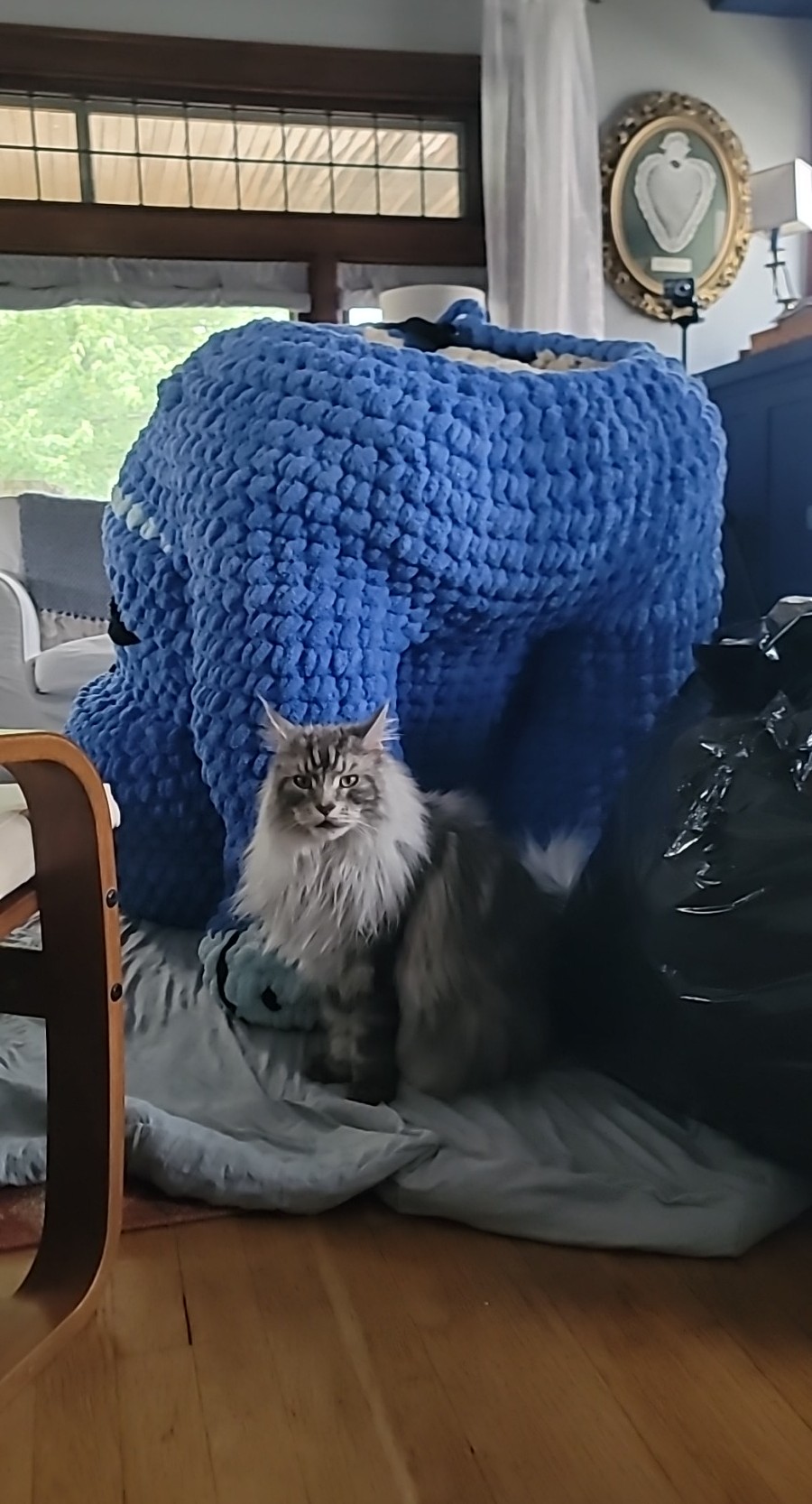 Derpy Tiger Mega Crochet from K-Pop Demon Hunters (Paused/Frogged)