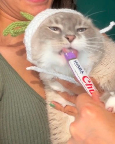 Radish Crochet Cat Hat